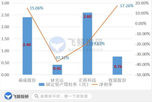 排雷必備 巧用固定資產篩選企業，優化企業資產管理